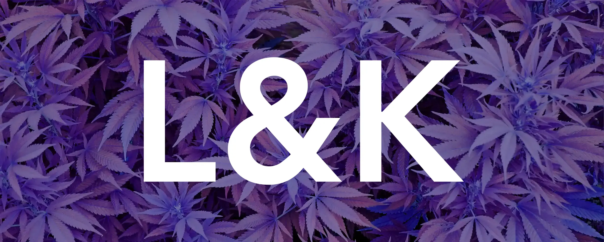 Lava & Kush | Purity and Excellence in Cannabis